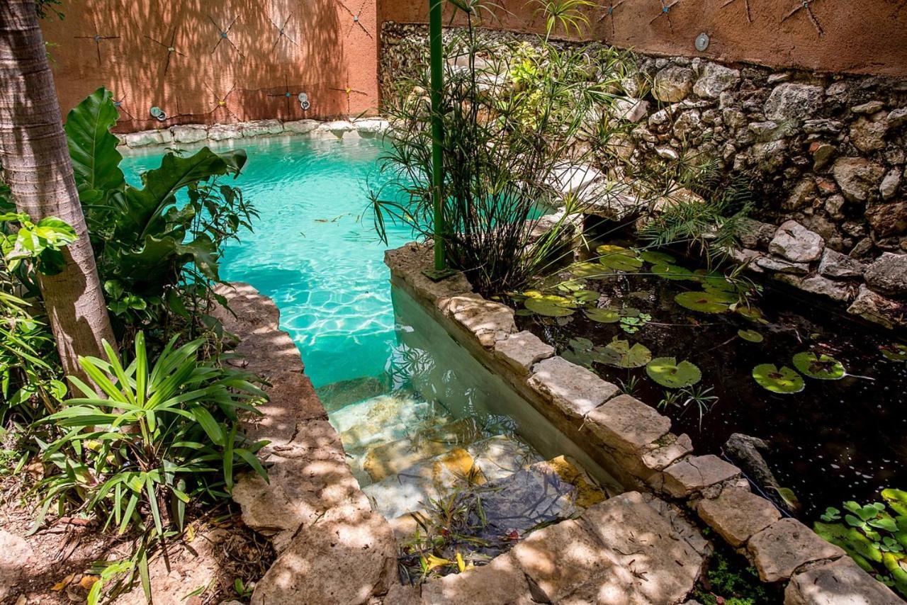 La Selva By Majikal B&B Мерида Экстерьер фото