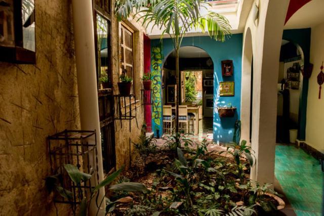 La Selva By Majikal B&B Мерида Экстерьер фото