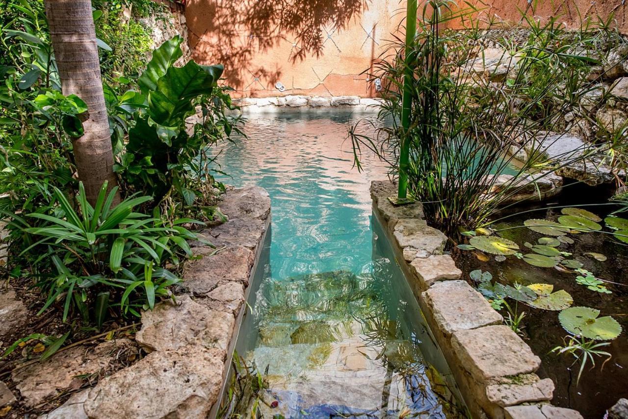 La Selva By Majikal B&B Мерида Экстерьер фото