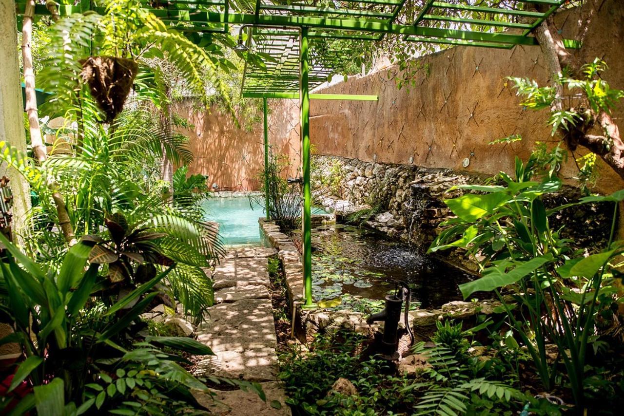 La Selva By Majikal B&B Мерида Экстерьер фото